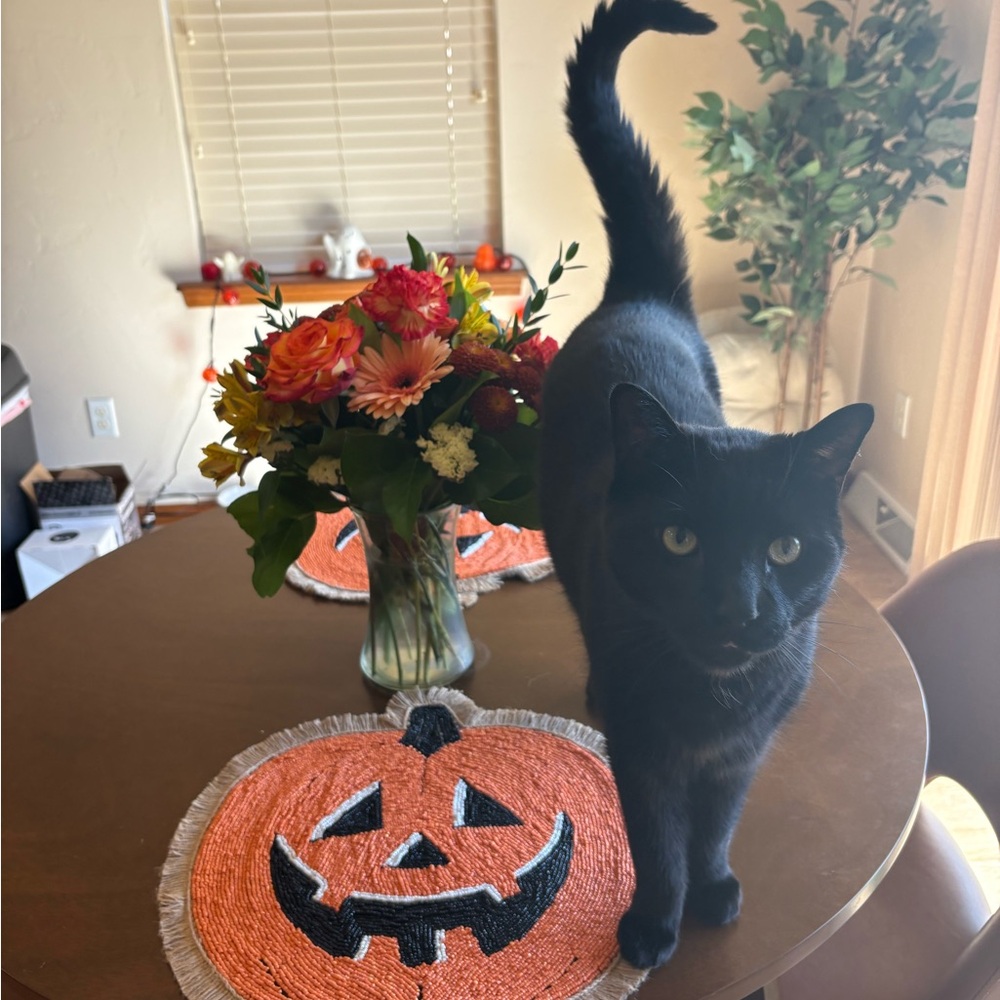 Trade 🎃